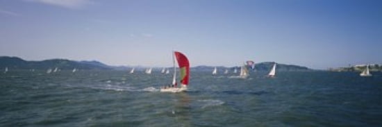Sailboats in the water San Francisco Bay California USA Canvas Art - Panoramic Images (36 x 12)