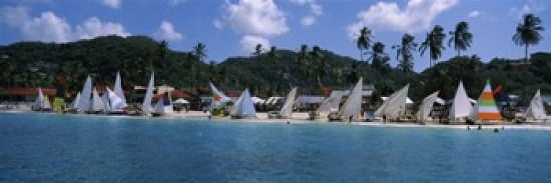 Sailboats on the beach Grenada Sailing Festival Grand Anse Beach Grenada Canvas Art - Panoramic Images (18 x 7)
