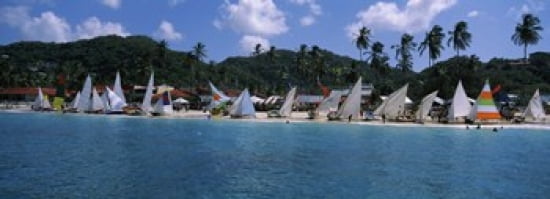 Sailboats on the beach Grenada Sailing Festival Grand Anse Beach Grenada Canvas Art - Panoramic Images (36 x 13)