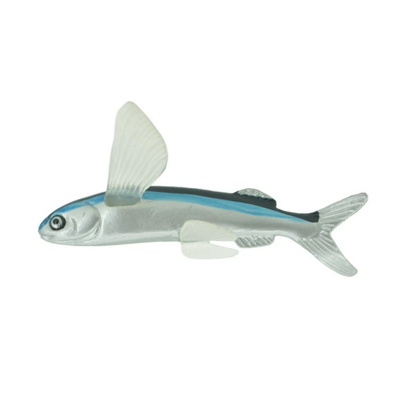 Sailfin Flying Fish Toy, Museum Quality, Hand Painted, Rubber Fish, Realistic Figure, Model, Replica, Kids, Educational, Gift, 3 1/2" CH286 BB179