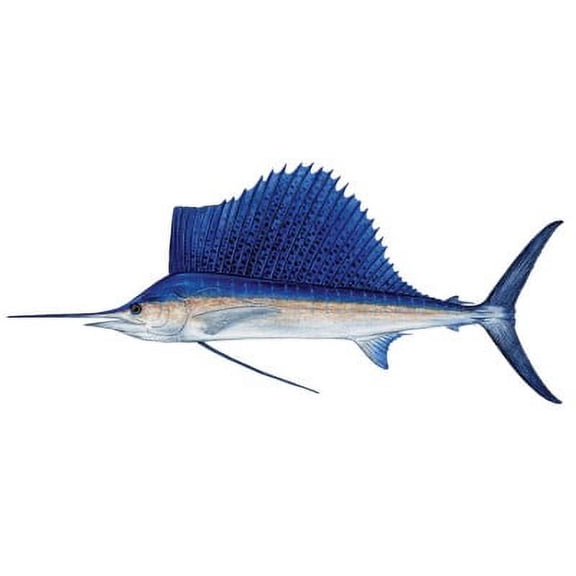 Sailfish Decal