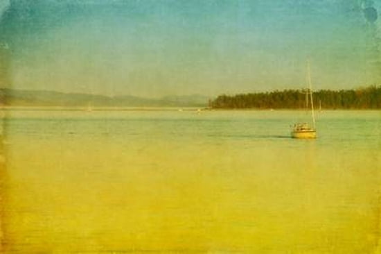 Sailing Canvas Art - Roberta Murray (24 x 36)
