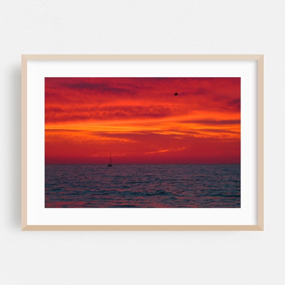 Sailing Into The Inferno - Redondo Beach California Photography Sunset Ocean Seascape Boat Silhouette Coast Bird Oak Framed Wall Art Print 20 x 30 inches