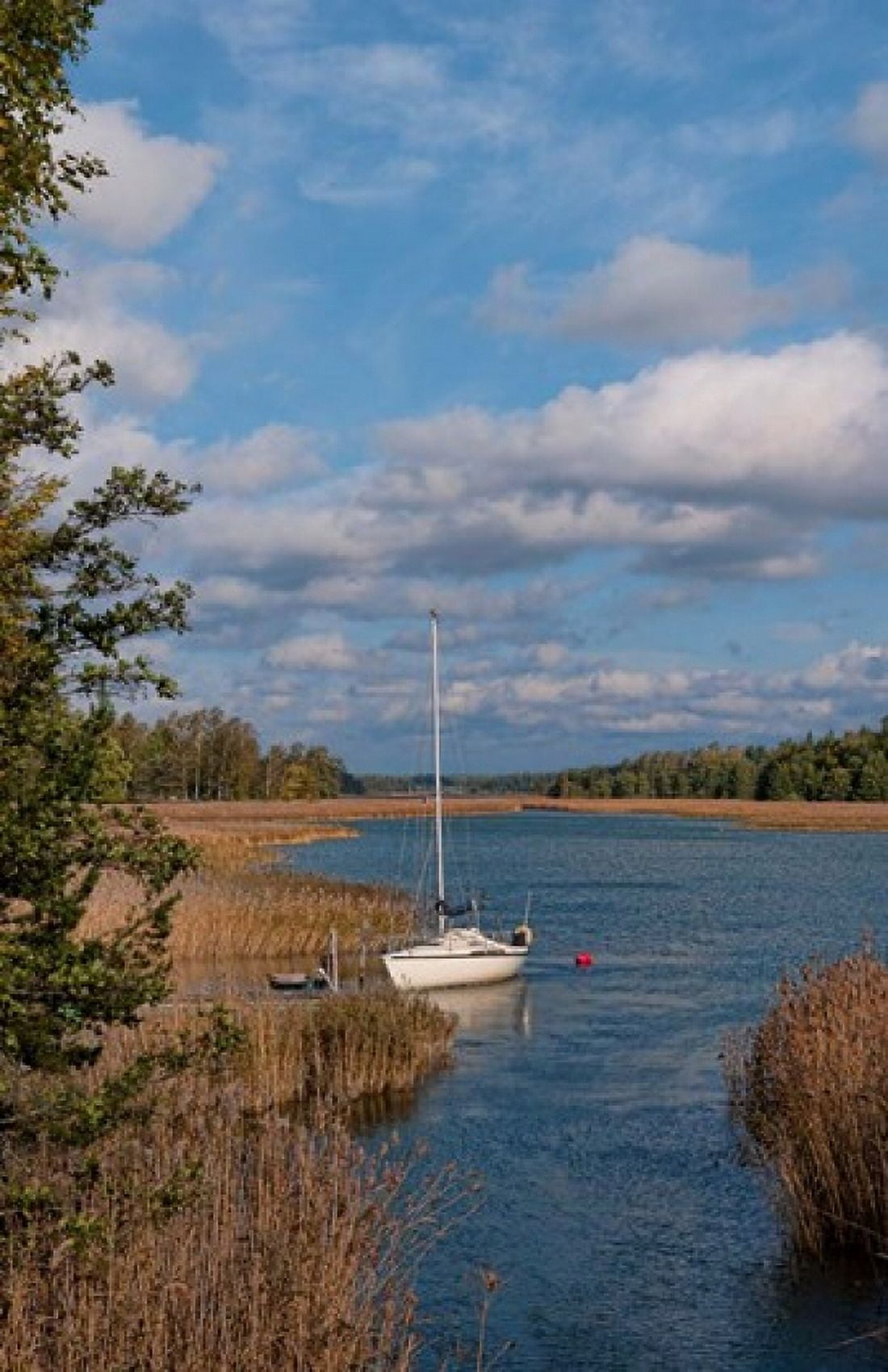 Sailing near Turku Holiday Club Canvas Art - Bill Bachmann DanitaDelimont (17 x 26)