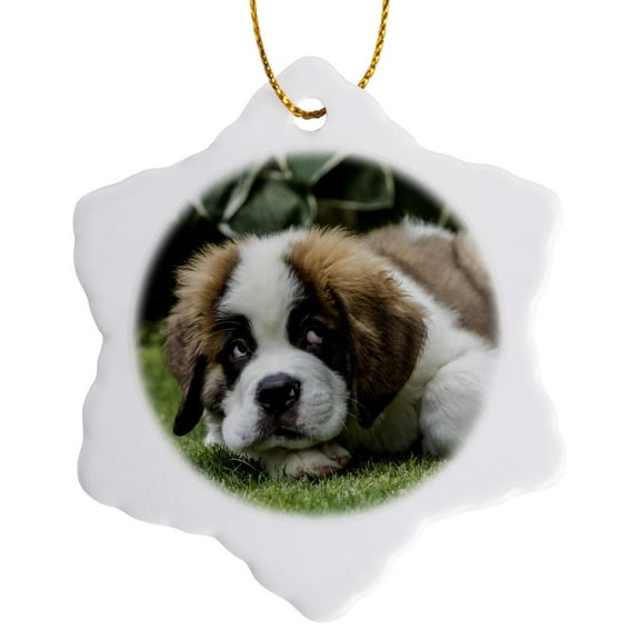3drose, Saint Bernard Puppy with a Humorous Guilty Look on His Face., 3 inch Snowflake Porcelain Ornament