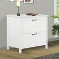 thumbnail image 1 of Saint Birch Liam Wood White 2-Drawer File Cabinet, 1 of 9