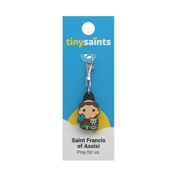 Saint Francis of Assisi, (Hardcover)