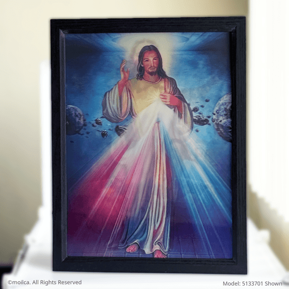 Divine Mercy Catholic 3D Framed Image 17 x 13