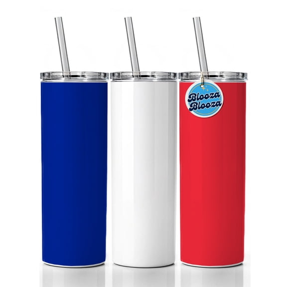 Saint Martin (French part) Country Flag 20oz Insulated Water Bottle Skinny Tumbler Includes Straw
