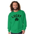 thumbnail image 1 of Saint Patrick's Day Lucky Shamrocks Unisex Plus Fleece Graphic Sweatshirt Brisco Brands 4X, 1 of 2