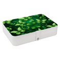 thumbnail image 1 of Saint Patrick's Day Portable PU Leather Organizer Box with Removable Compartment for Jewelry Display and Storage - Jewelry Boxes Included, 1 of 6