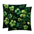 thumbnail image 1 of Saint Patrick's Day Velvet Bed Pillow Throw Covers Pillow Inserts Throw Pillows with Unique Patterns - Set of 2, Sizes 16x16, 18x18, 20x20 Inches for Various Occasions, 1 of 6