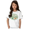 thumbnail image 1 of Saint Patricks Day Ireland Flag Party Crewneck T Shirts Boy Girl Teen Brisco Brands XS, 1 of 5