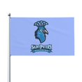 thumbnail image 2 of St. Louis Cardinals Items - CRW Flags Store In Glen Burnie, Maryland 2 of 12
