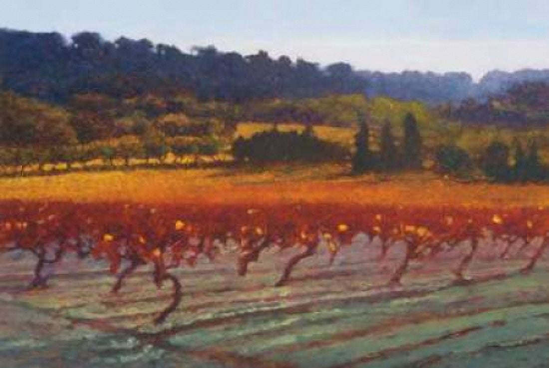 Saint Saturnin-l-Apt Canvas Art - Kent Lovelace (12 x 18)