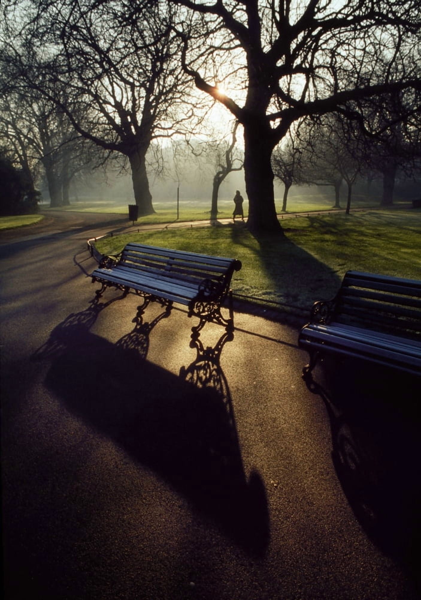Saint Stephens Green Dublin Co Dublin Ireland Canvas Art - The Irish Image Collection Design Pics (12 x 18)