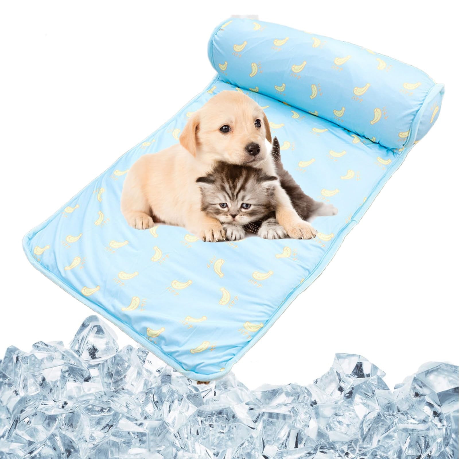 Heated dog bed for car hotsell