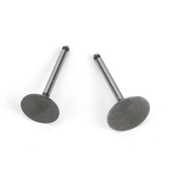 Saito Engines Valve In&Out Pair FG-36 AKBP SAIG3646 Replacement Engine Parts Air/Heli