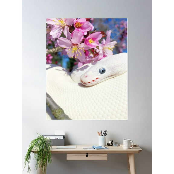Sakura And A White Snake Poster Wall Art, Modern Wall Decor For Living Room Bedroom, 16x24 UNFRAMED