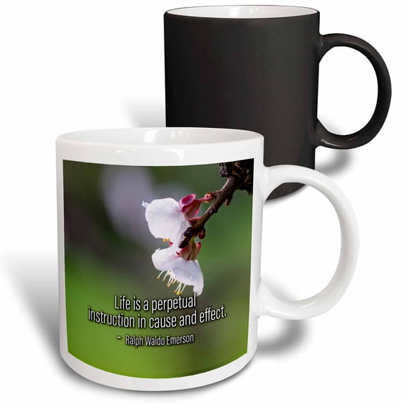 3drose, Sakura Cherry Flowers. Ralph Waldo Emerson Quote Life Is a Perpetual, 11oz Magic Transforming Mug