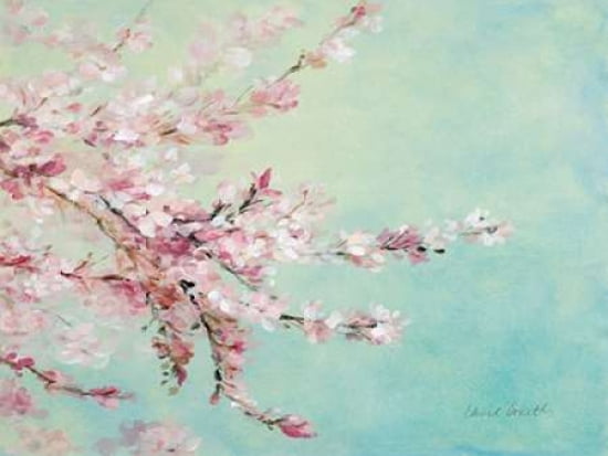 Sakura Fragile Beauty Canvas Art - Lanie Loreth (18 x 24)