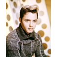 thumbnail image 1 of Sal Mineo 24X36 Classic Hollywood Poster, 1 of 1