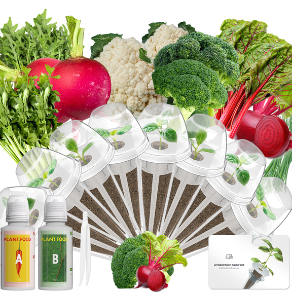 Vegetables Seed Pod Kit for AeroGarden,idoo,Ahopegarden,Gardencube with Radish,Ruby Queen Beet,Cauliflower,Celery,Onion,Broccoli,Swiss Chard,Arugula-Compatible with Hydroponics Growing System(8-Pod)