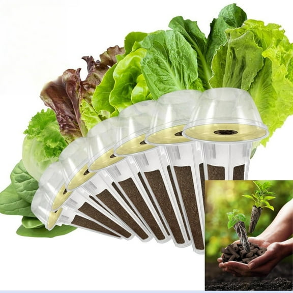 Salad Vegetable Kit Lettuce Spinach, Compatible With All Hydroponics Systems, Complete Indoor Growing Kit for Lettuce Variety and Nutrient-Rich Spinach