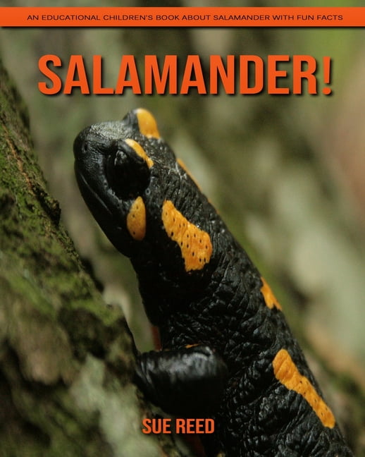 Salamander An Educational Children s Book About Salamander With Fun 