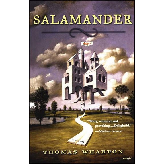 Salamander (Paperback)