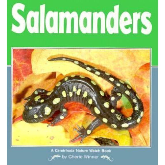 Pre-Owned Salamanders (Nature Watch Book) (Paperback) 0876146140 9780876146149