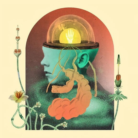 Salami Rose Joe Louis - Akousmatikous - Music & Performance - Vinyl