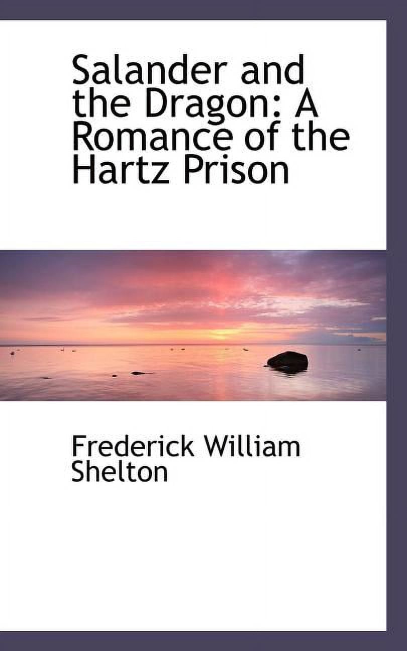 Salander and the Dragon: A Romance of the Hartz Prison (Paperback)