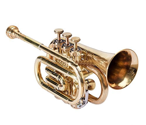 NEW MONTH SALE Pocket Trumpet 3 Valve's Shinning Brass with Mouthpiece and Case