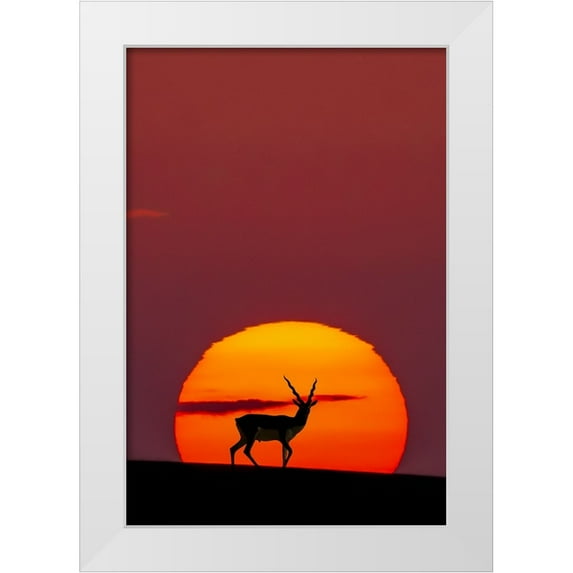Saleem, Abdul 11x14 White Modern Wood Framed Museum Art Print Titled - Sun Crossing