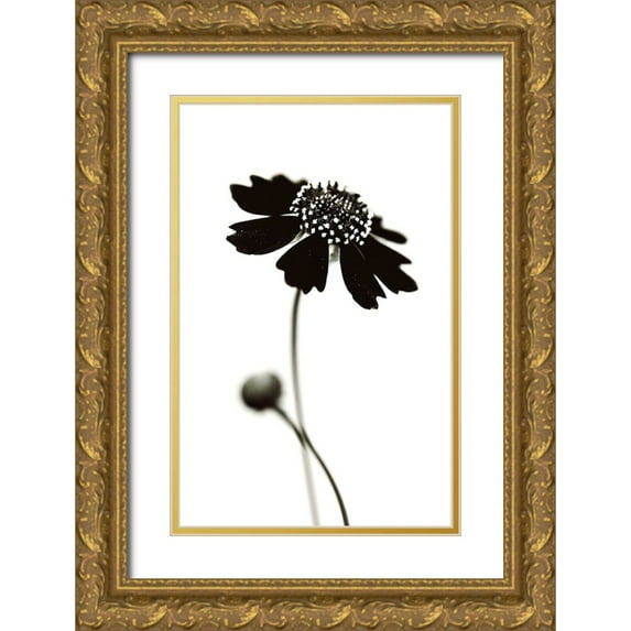 Salem, Saad 13x18 Gold Ornate Wood Framed with Double Matting Museum Art Print Titled - Once I Was A Black.