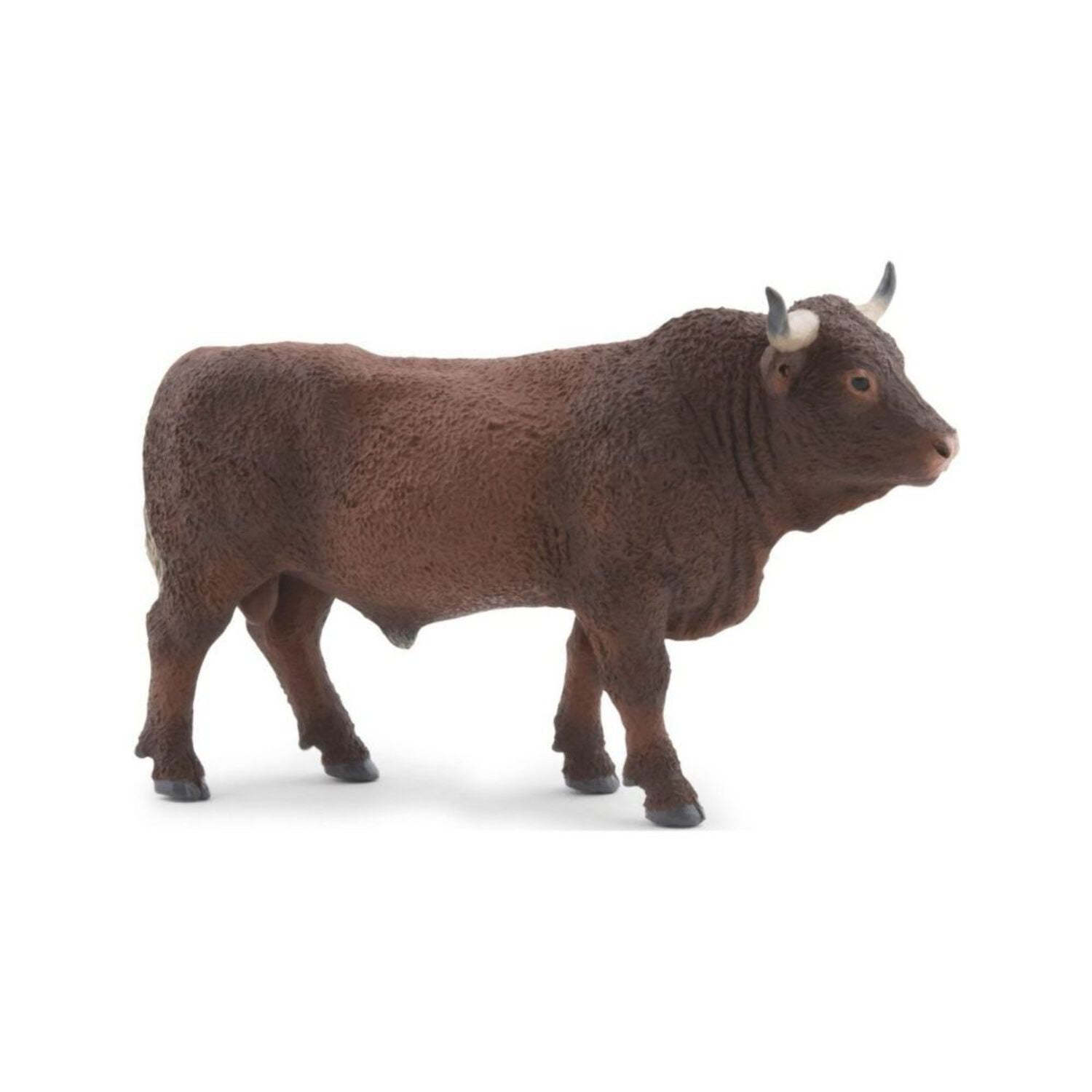 Saler's Bull