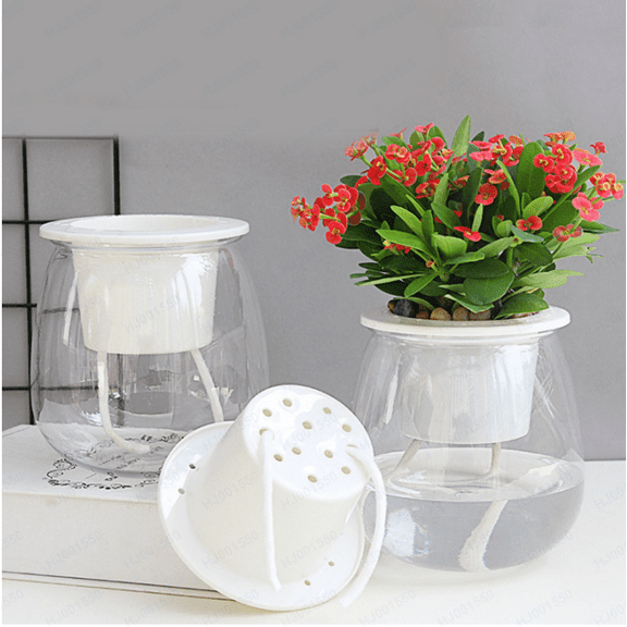 Bifavgk Self Watering Planter Violet Pots Orchid Pots With Hole Clear Plastic Automatic Watering Planter Flower Pot Pot For All House Plants Mini Flower Pots Plant Pots Indoor Flower Vase