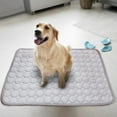 thumbnail image 1 of Dog Cooling Mat, 16" x 12" Upgrade Pet Cool Mat for Dogs Cats, Summer Ice Silk Dog Cooling pad & Washable Pee Pad for Indoor or Outdoor - Bottom Waterproof and Anti Slip (Grey), 1 of 9