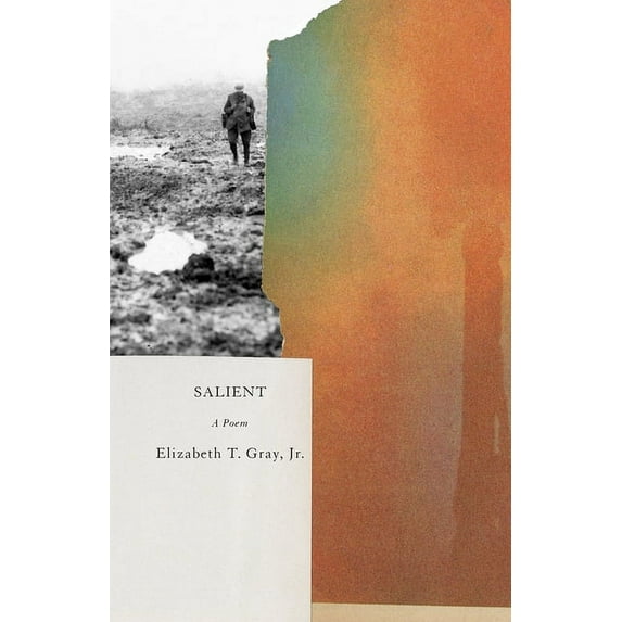 Salient (Paperback)
