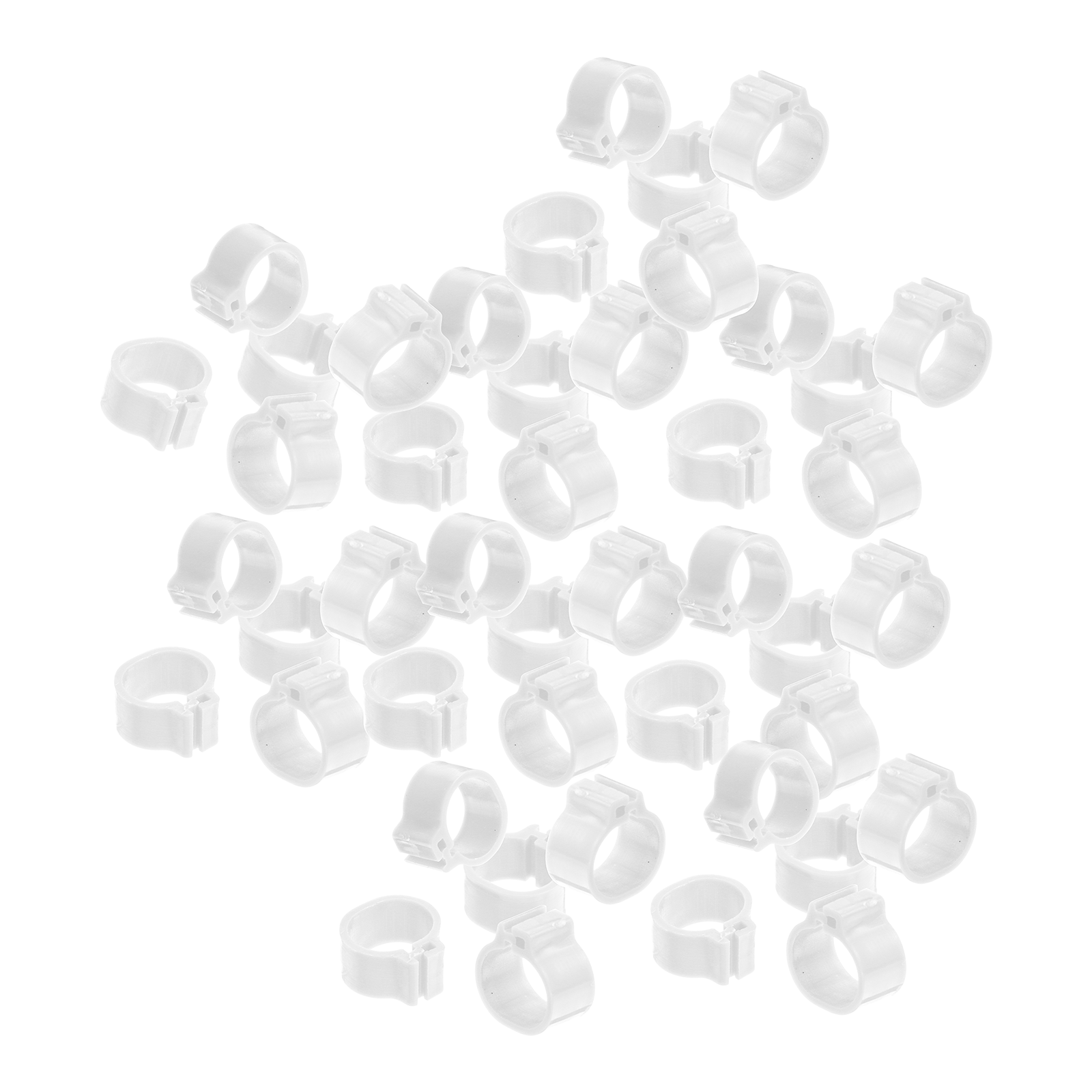 Salinist 100 Bird Leg Rings Pigeon Foot Tags Chicken Parrot Budgie