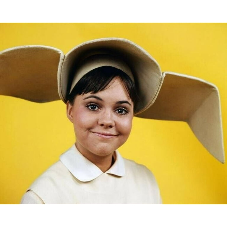 https://i5.walmartimages.com/seo/Sally-Field-with-cute-smile-8x10-inch-photo-The-Flying-Nun-TV-series24x30-Poster_a581b950-781f-4adf-8f2e-6294c9847c54.2927a3ab1027a275175eefea7c7d779d.jpeg?odnHeight=768&odnWidth=768&odnBg=FFFFFF