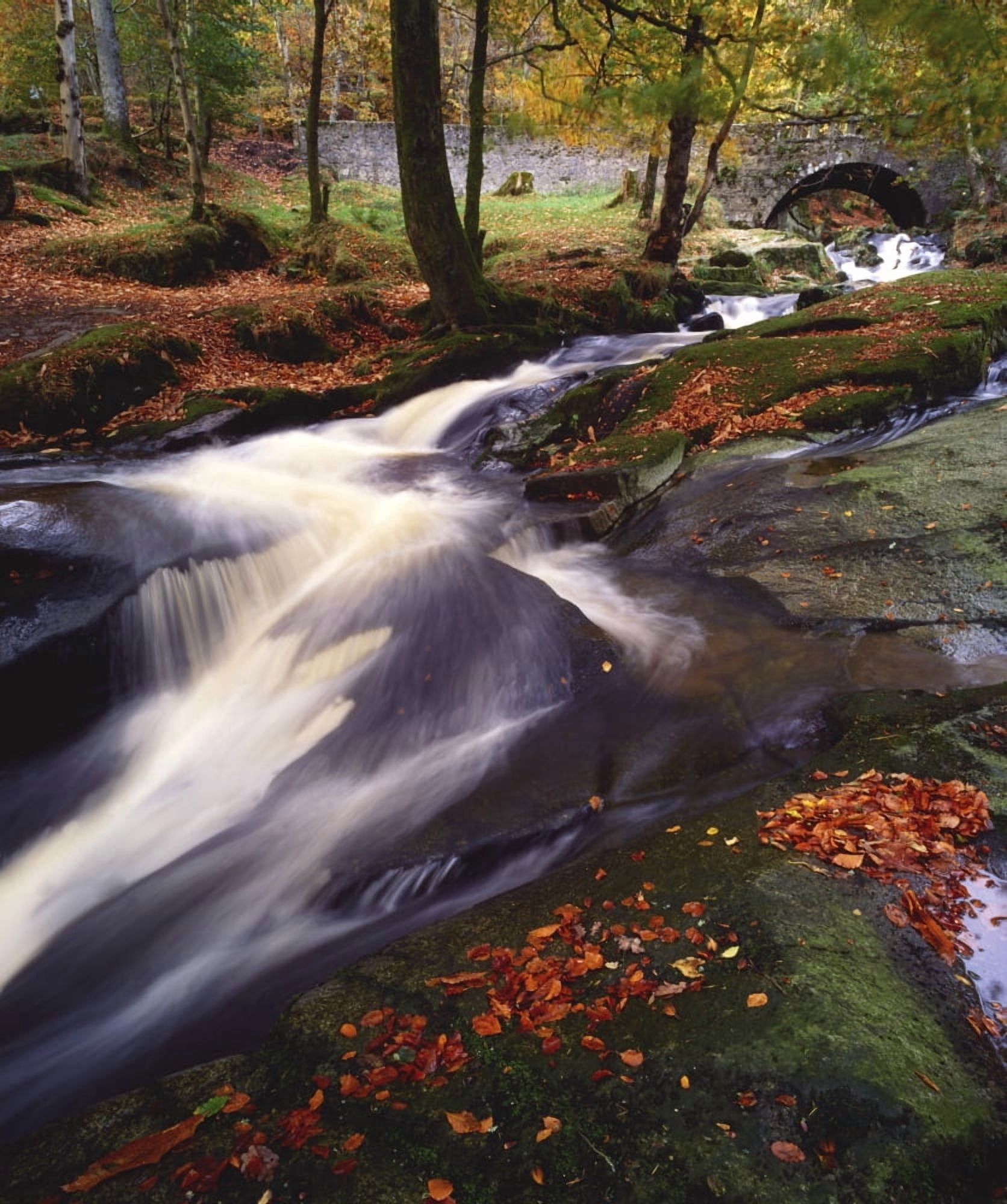 Sally Gap County Wicklow Ireland Creek In Woods In Autumn Canvas Art - The Irish Image Collection Design Pics (28 x 32)