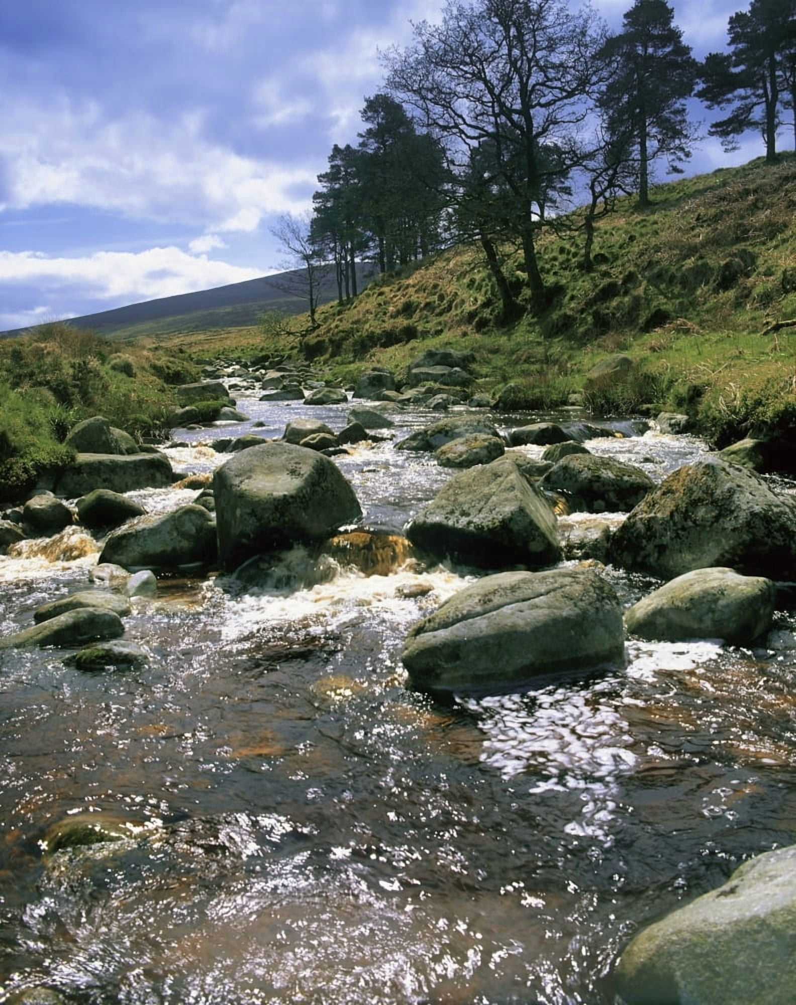 Sally Gap River Liffey Co Wicklow Ireland Canvas Art - The Irish Image Collection  Design Pics (26 x 34)