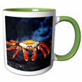 thumbnail image 1 of 3drose, Sally Lightfoot Crab,grapsus Grapsus,santiago Islaislandnd Galapagos, 11oz Two-tone Green Mug, 1 of 6