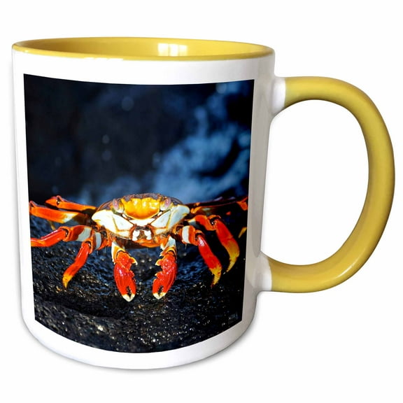 3drose, Sally Lightfoot Crab,grapsus Grapsus,santiago Islaislandnd Galapagos, 11oz Two-tone Yellow Mug