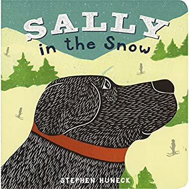 Pre-Owned Sally in the Snow (Unknown) 1419712276 9781419712272