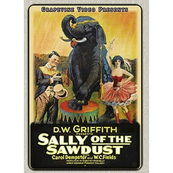 Sally of the Sawdust (1925) (DVD)