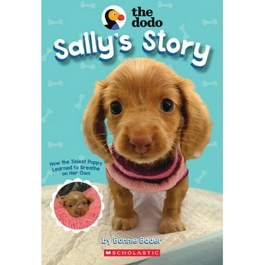 Pre-Owned Sally's Story (the Dodo) (Paperback) 1546114637 9781546114635