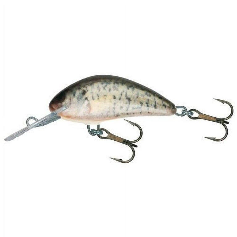 Salmo 1 3/4 inch Hornet Lure, SILVER SHINER 